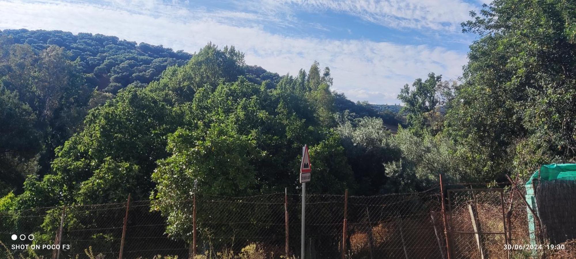 Mi Descanso El Bosque  Bagian luar foto